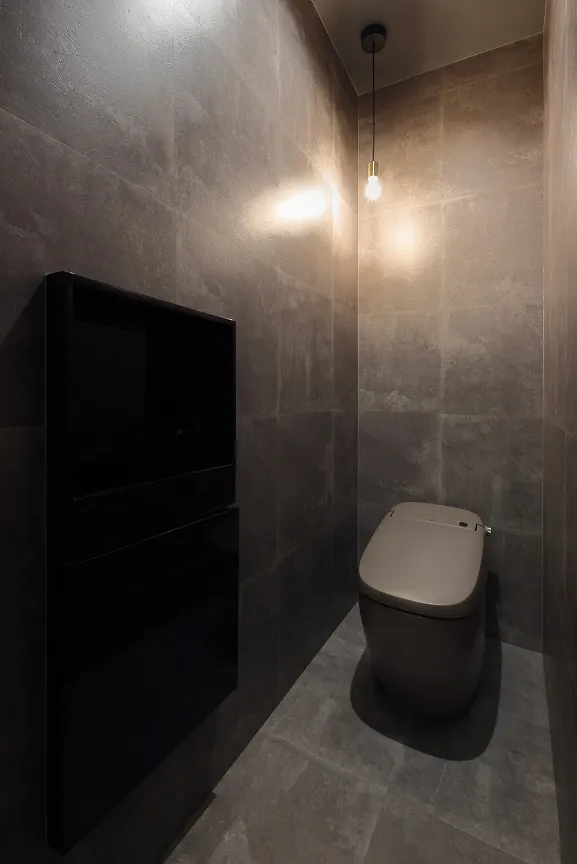 中野の家 トイレ